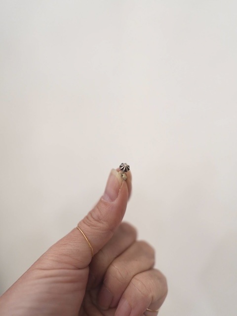 ＜Indian Jewelry＞silver studs petit pierce