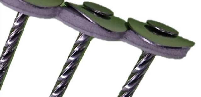 �����ѡ����ƥ�쥹��Ϣ�뻱ţ