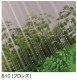 ֥󥺡졼Ⱦ 63ȡݥꥫġ1.0mm720mmĹ610ܡ638/ܡǹ 󥷡3