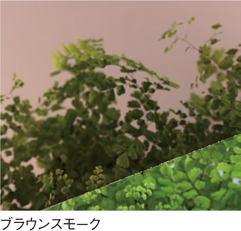 PCSPR-994T3mm֥饦󥹥⡼Ѹ(ξ)Ǯåȥ졼ɡݥꥫʿġ󥷡åȡ0.5m26.0m214,630/m2ǹ)