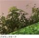 PCSPR-994T5mm֥饦󥹥⡼Ѹ(ξ)Ǯåȥ졼ɡݥꥫʿġ󥷡åȡ0.5m26.0m222,770/m2ǹ)