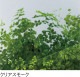 PCSPR-900T5mmꥢ⡼Ѹ(ξ)Ǯåȥ졼ɡݥꥫʿġ󥷡åȡ0.5m23.6m222,770/m2ǹ)