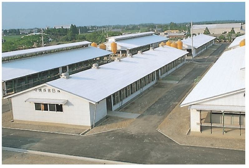 �����������������ܻ����ġ�Ŵ�ľ��� 32�ȡ�1.0mm������655mm��Ĺ��3,040mm��9,000mm���������󥷡�������10���