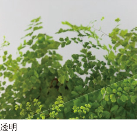 PC-16004mmƩ̥졼ɡݥꥫʿġ󥷡åȡ0.5m26.0m214,190/m2ǹ)