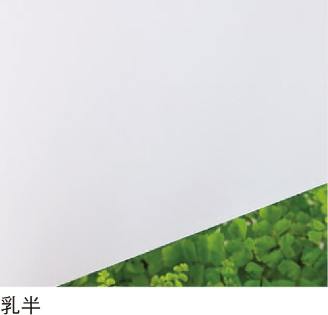 PCSP-677T5mmȾѸ(ξ)졼ɡݥꥫʿġ󥷡åȡ0.5m28.0m219,800/m2ǹ)