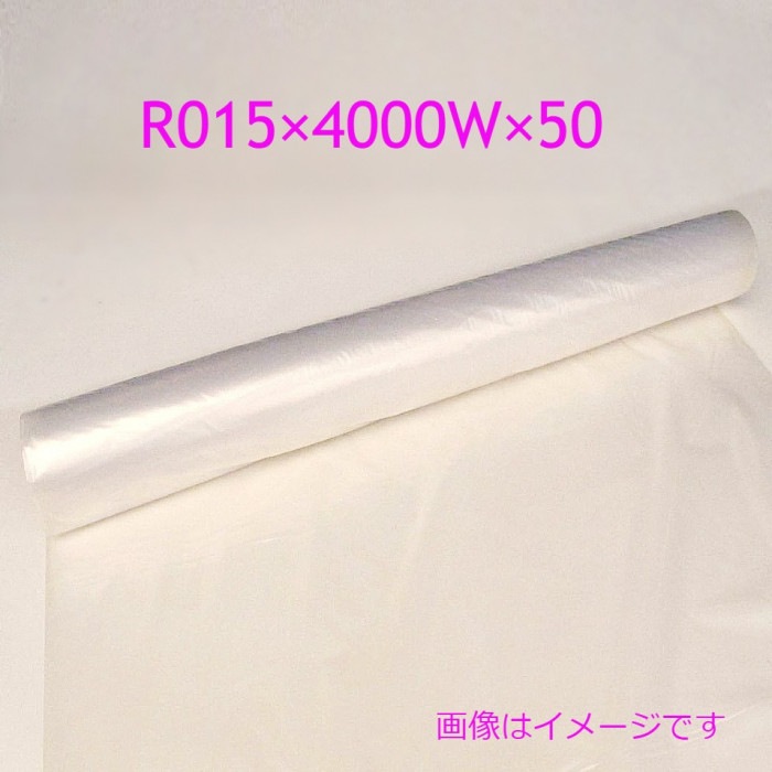 �����ݥ�ե���ࡡR015��4000W��50��