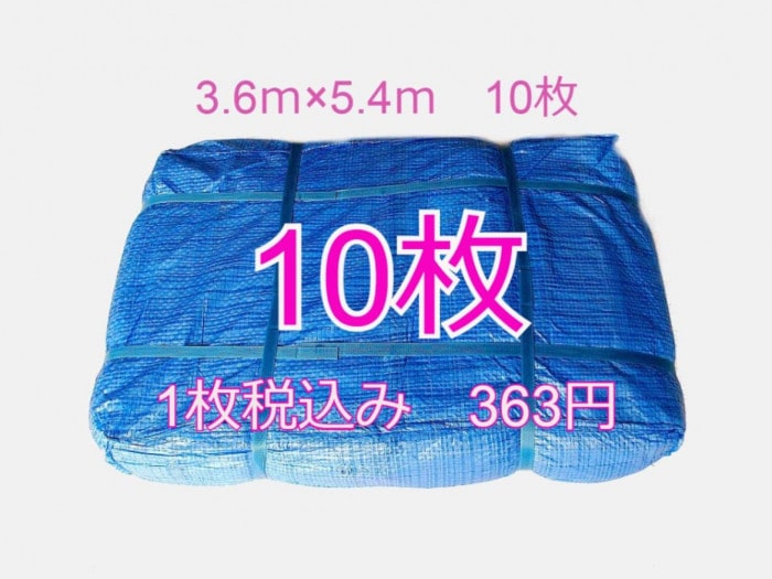 ֥롼   3.65.4ʥʡ10