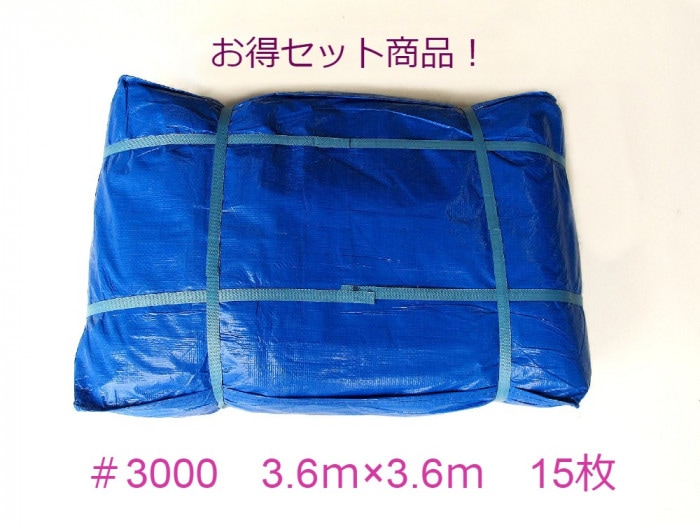 �֥롼������ #3000 ���ꡡ3.6����3.6���������ʥ��������ʡ�15����