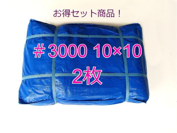 ֥롼 #3000 ꡡ1010ʥʡ2