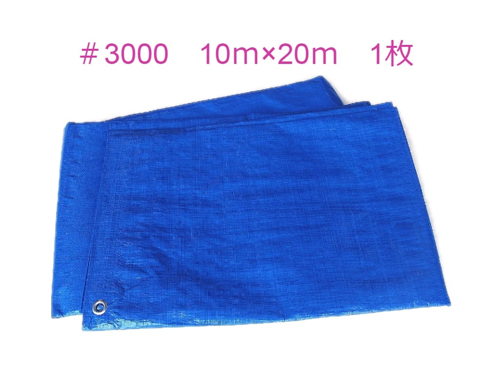 ブルーシート 10m×10m ＃3000 厚手 2枚入 ブルーシート #3000