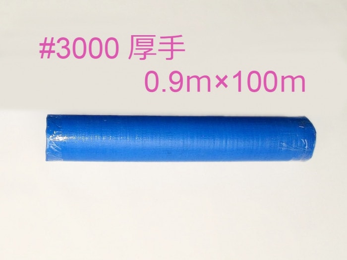 ֥롼 #3000 ꡡ롡0.9100