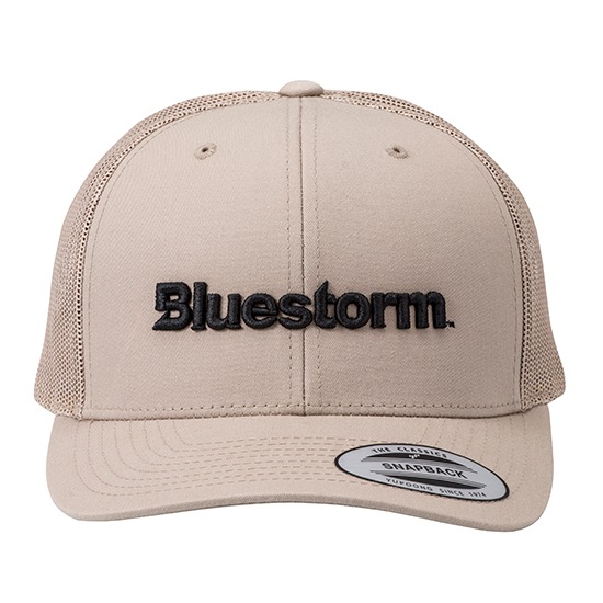 BLUESTORM å奭å