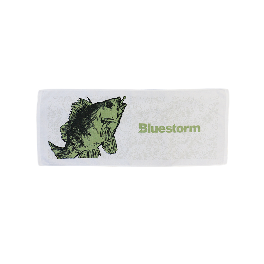 BLUESTORM ե