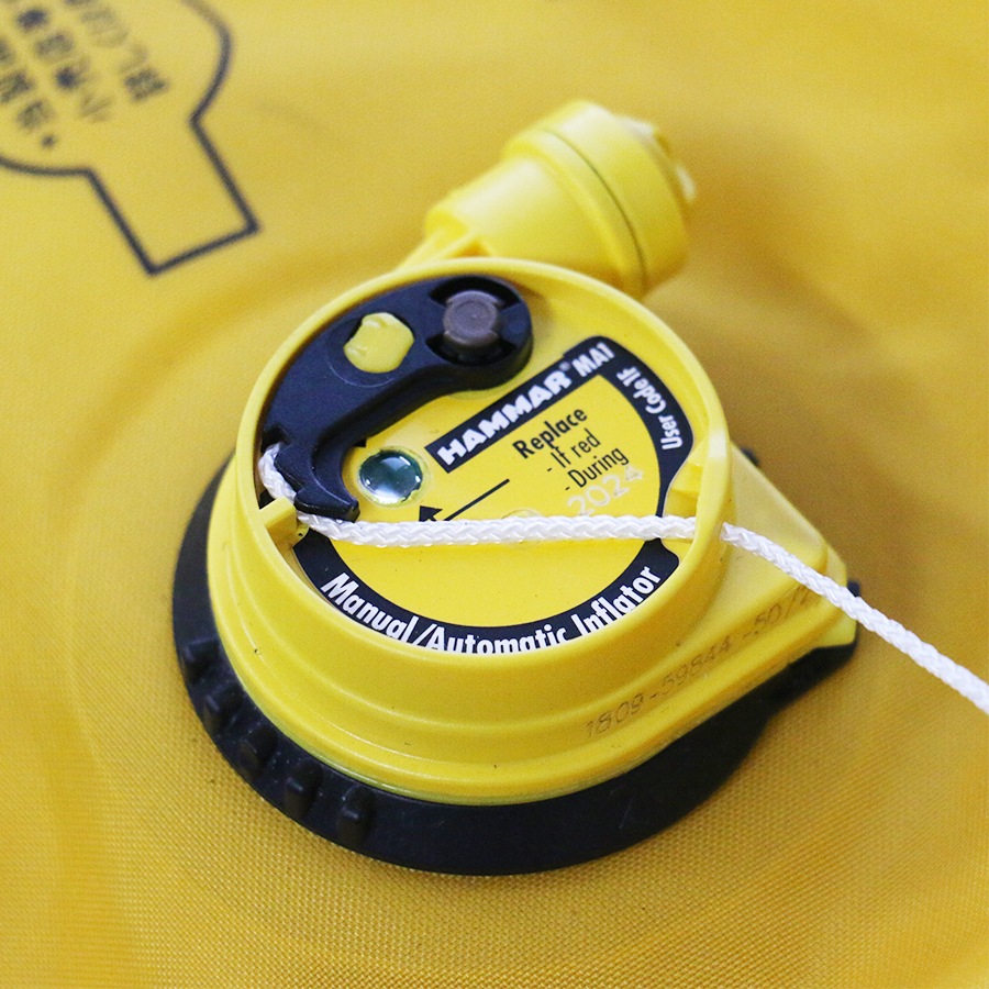 �����ڤӥѡ��ĸ򴹡��ϥޡ���33g��