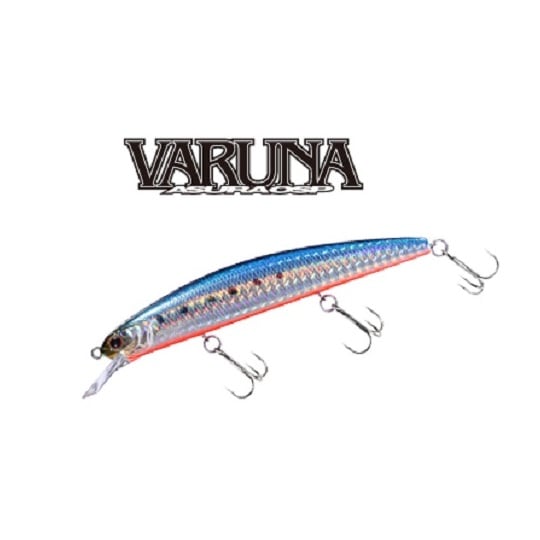 O.S.P/VARUNA(ʡ110S