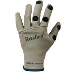 ���ò��ۥ�Х쥤/RV�᥿�륦�����॰������(S)