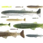 ���ޥ��ġߥե��å��奢����/�ϥɥ륹���ޡ�4��