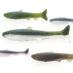 ���ޥ��ġߥե��å��奢����/�Х��饹�ȥ�5�����