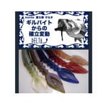 KAESU/Konta no'0005 DELTA