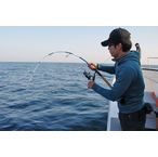 MC works'/�ǥ奢�륨�å� DE643LR ����������ɥ�ǥ�