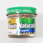 �С����쥤 / �ѥ�ʥ����� �ޥ��å�