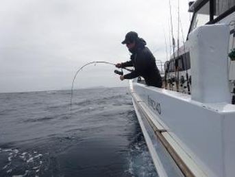 MC works'/ダブルトラップ DOUBLE TRAP DT611PS スタンダードモデル