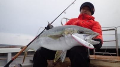 MC works'/エクスプロージョン EXPLOSION 826HF スタンダード