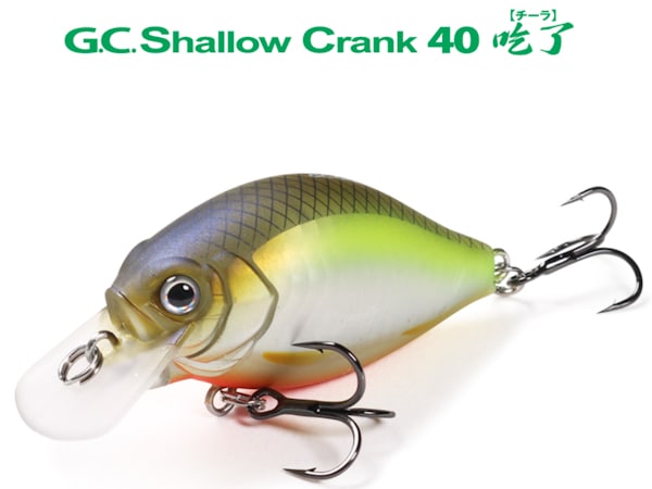 一誠 issei チーラ 吃了 SR 8個セット さ新品未使用 G.C.シャロー