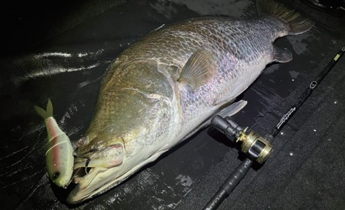 スタジオコンポジット/フォー ザ ビースト FOR THE BEAST 78XXXXH