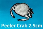 òۥС쥤 / סȥԡ顼 2.5cm