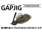 ܥȥॢå / GAPJIG (åץ)