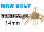 O.S.P/С MAXSALT 14mm
