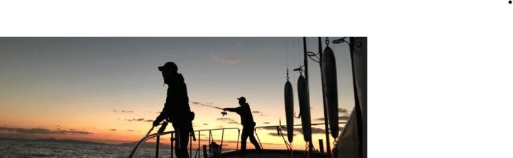 Mcワークス DAZZLER DZ862LF MCワークス ダズラー862LF スタンダードモデル 2025.8