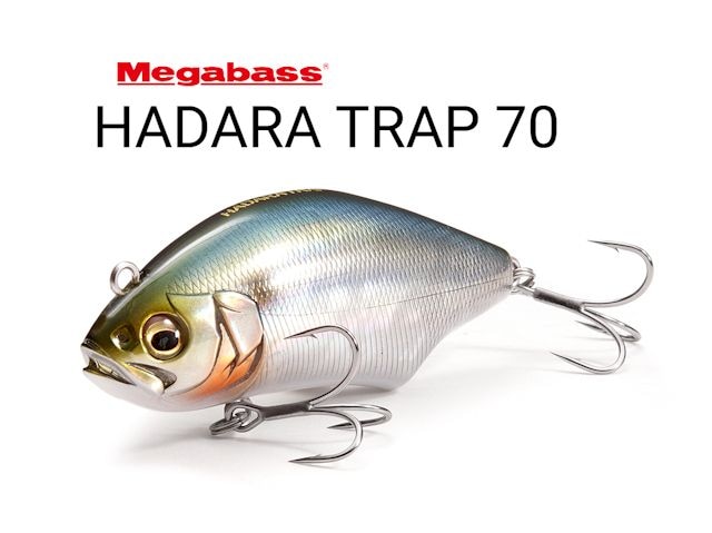 メガバス/HADARA TRAP (ハダラトラップ) 70 | ルアー | 【BASS MATE