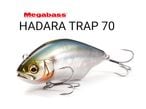 ᥬХ/HADARA TRAP (ϥȥå) 70