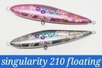 singularity(���󥮥���ƥ�)/singularity210 �ե����ƥ��󥰥�ǥ�