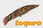 singularity(���󥮥���ƥ�)/ toguro ���󥭥󥰥ߥΡ�