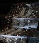 DRT / �֥�å������ȥ᥸�㡼������ XL