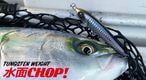 D-CLAW/����CHOP!�ʥ���������åס�)-TG