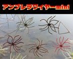 �쥤��/����֥��磻�䡼 mini