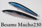 SOULS(�����륺)/Besame Mucho (�٥���ࡼ����) 230-120G