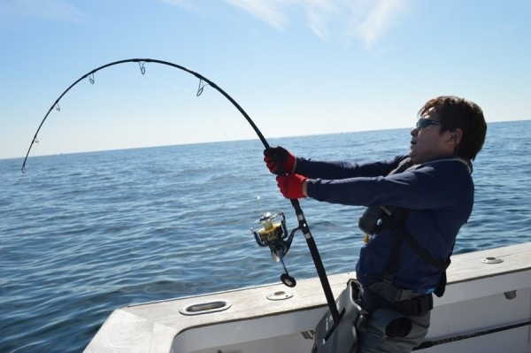 passions(�ѥå����)/�ۡ��� 70XH