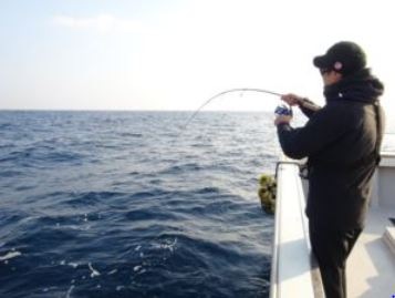 MC works'/�ʥ������ƥ��󥬡� NS63M2 ZERO-2 ����������ɥ�ǥ�
