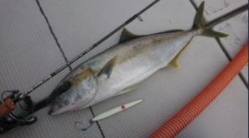 MC works'/�ʥ������ƥ��󥬡� NS63M2 ZERO-2 ����������ɥ�ǥ�