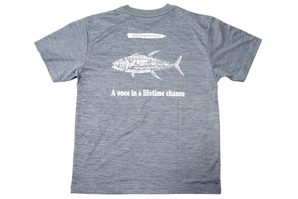 Shell Shaping Lures(ĥ륢) / ɥ饤T 2024