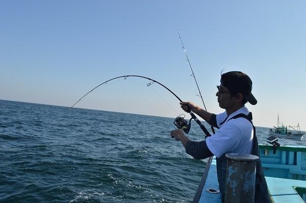 passions(�ѥå����)/Hawk64L (�ۡ���) ���륯����åץ�ǥ�