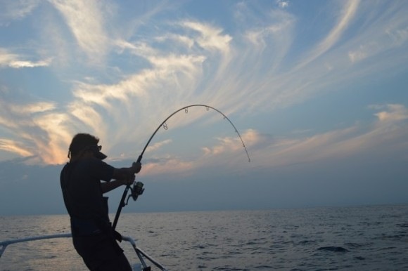 passions(�ѥå����)/���ڥ󥵡� Spenser 88M