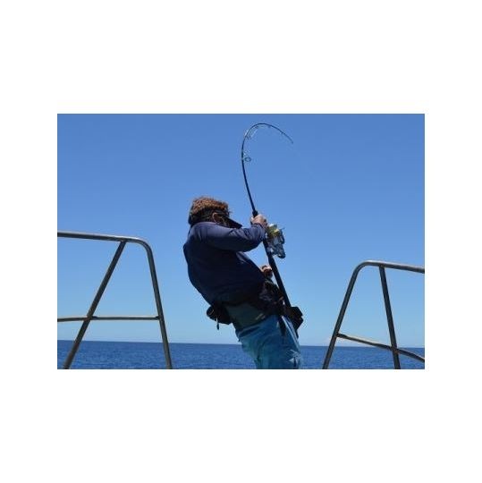 passions(�ѥå����)/Hawk (�ۡ���)��52HB���٥��ȥ�ǥ�