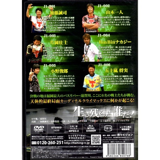 ���ӥ����DVD/J1 DREAM MATCH(�ɥ꡼��ޥå��� 2013