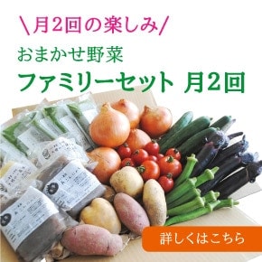 NEW　おまかせ野菜　ファミリーセット 隔週お届け月2回（送料込・１回分）